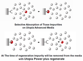 > </div>
<div class=